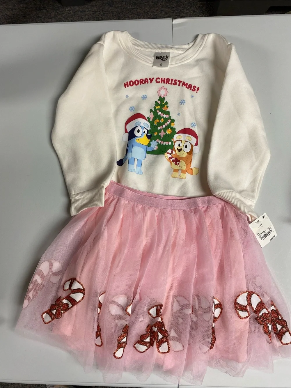 Kids Christmas Bluey Sweatshirt &  Tulle Dress - NWT. Size 5T
